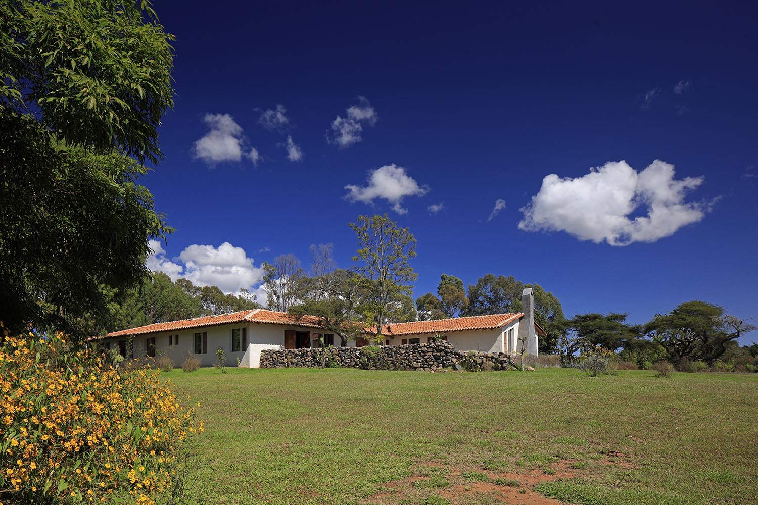 Obra Construida : Francisco Ugarte