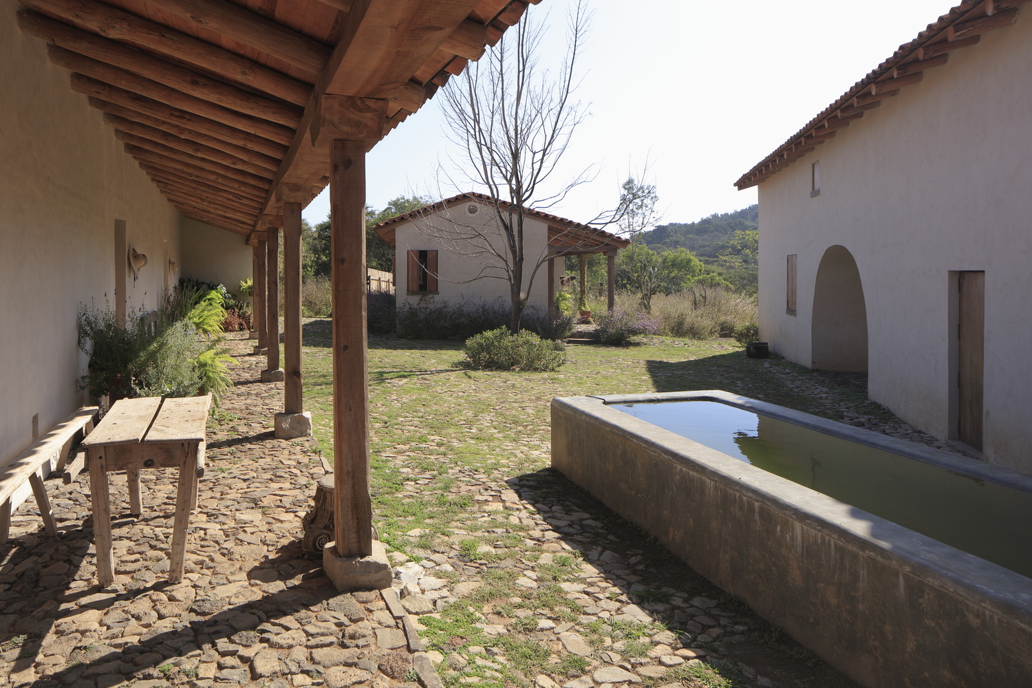 Las Tunas, 2023 : Francisco Ugarte