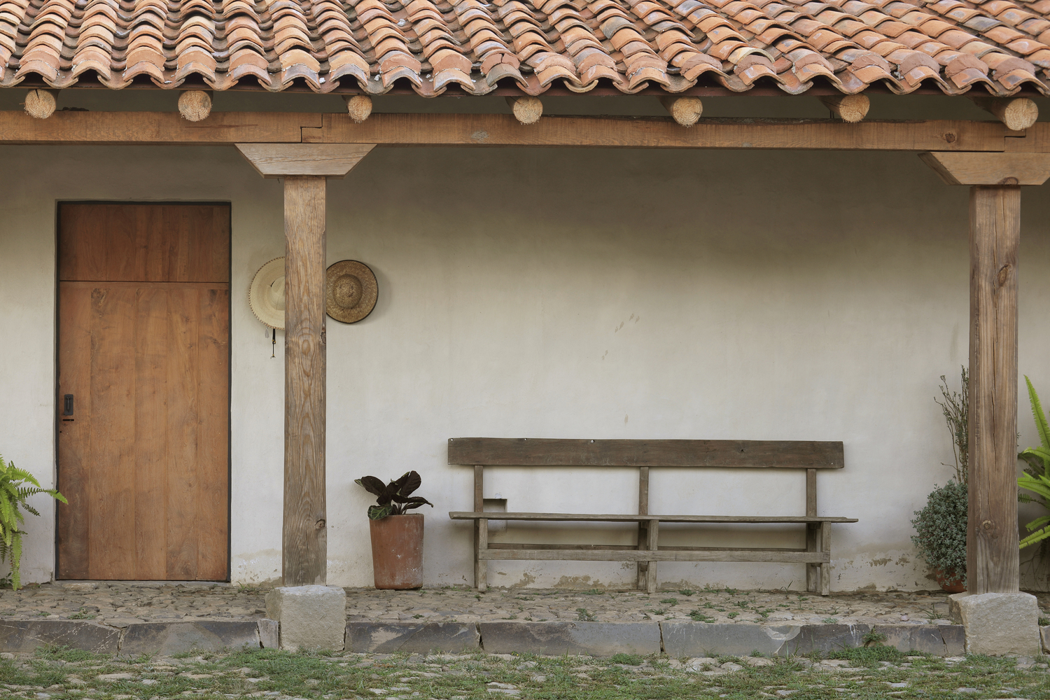 Las Tunas, 2023 : Francisco Ugarte