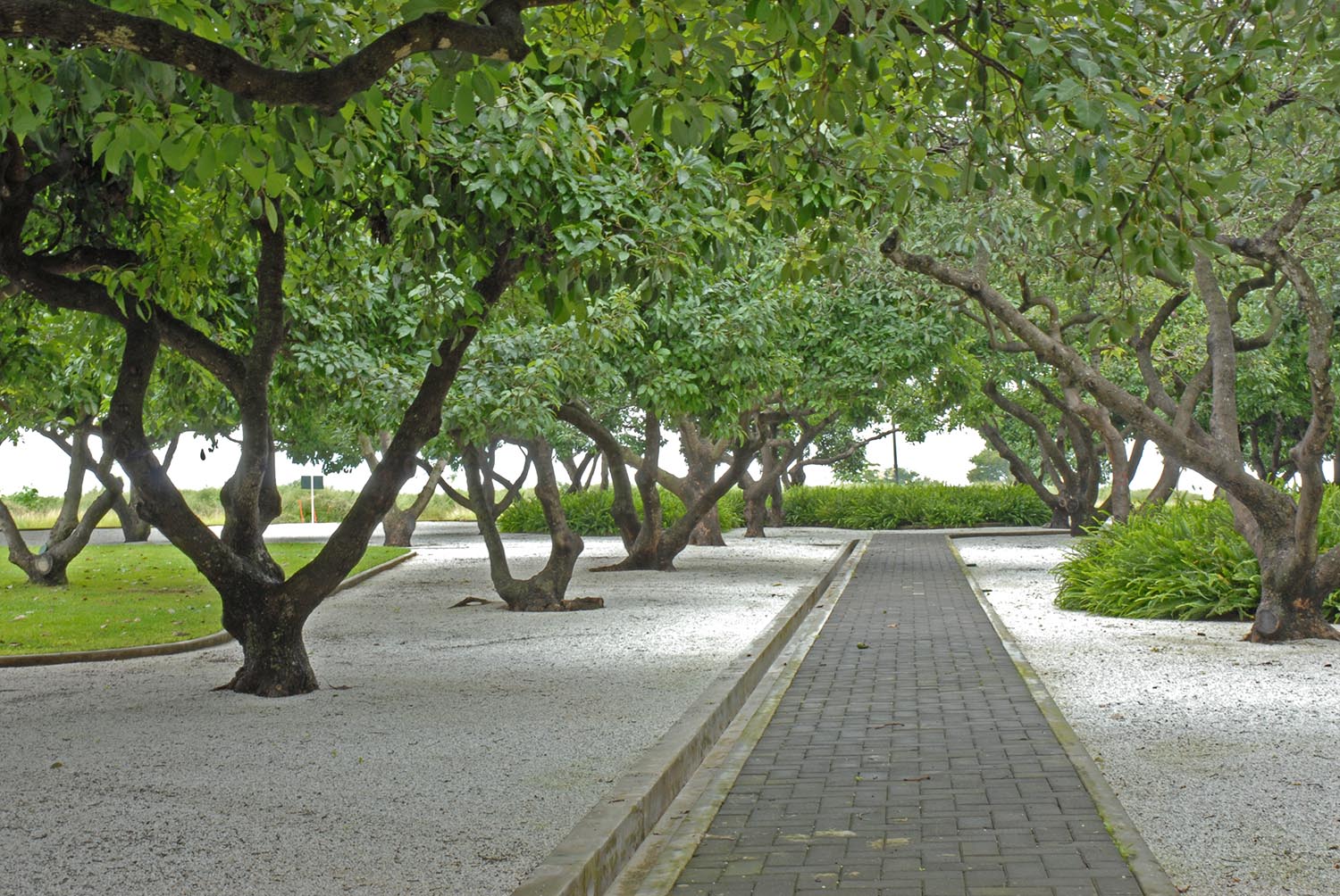 Parque Aguacates, 2005-2006 : Francisco Ugarte