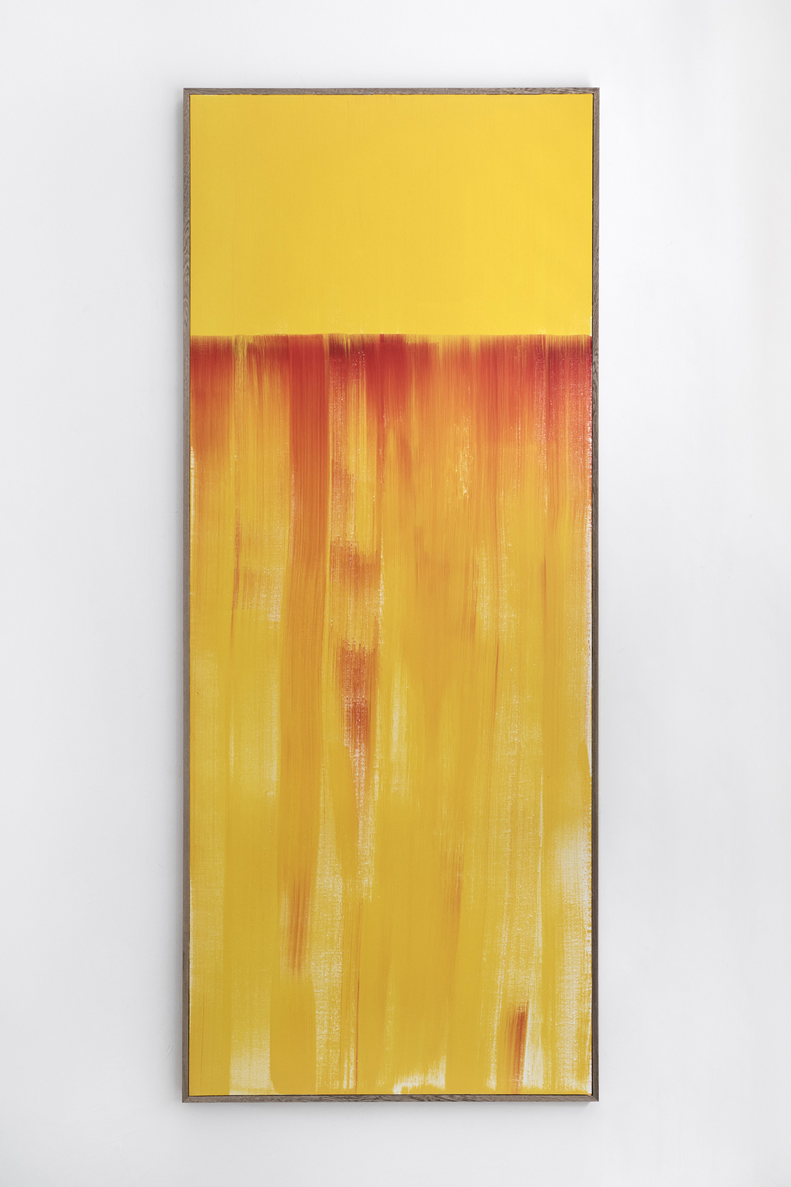 Amarillo casi Rojo, casi Azul : Francisco Ugarte