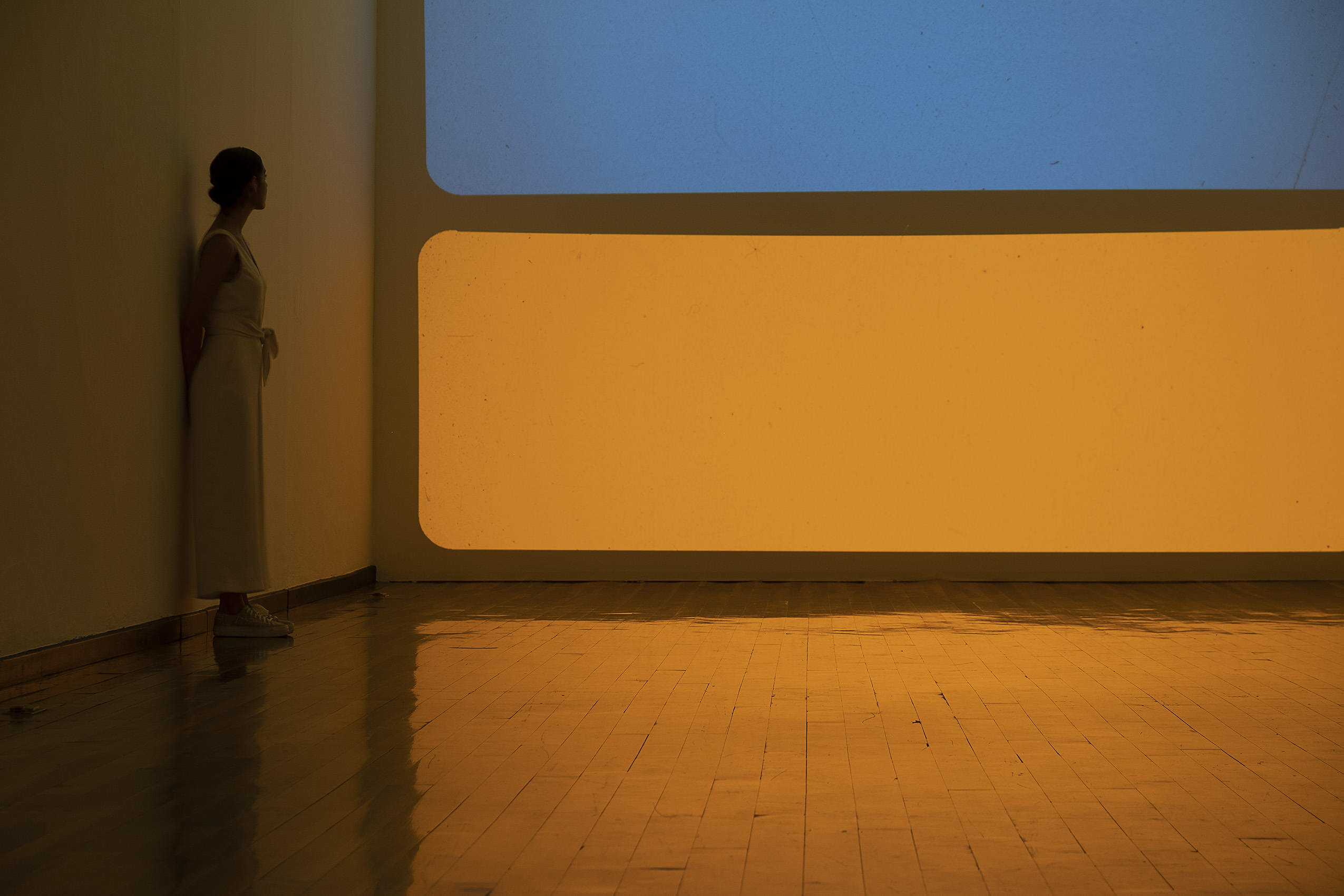 Aprehender lo sensible : Francisco Ugarte