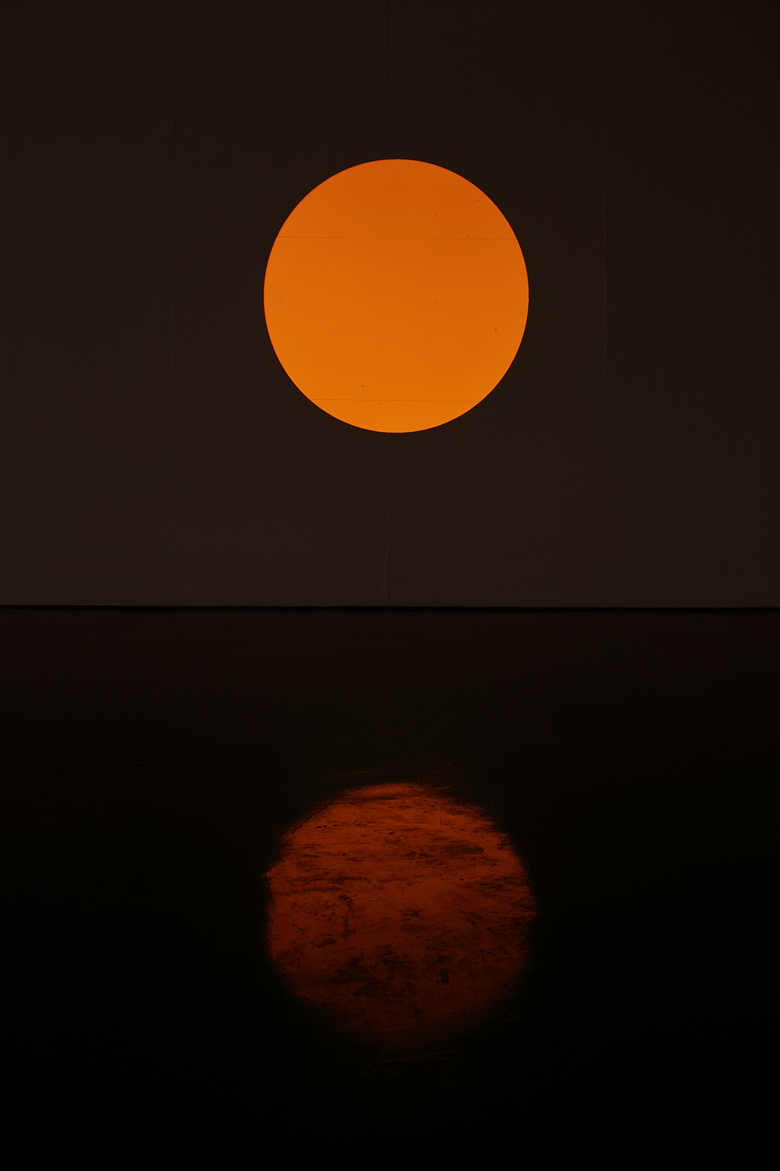 Diapositivas : Francisco Ugarte