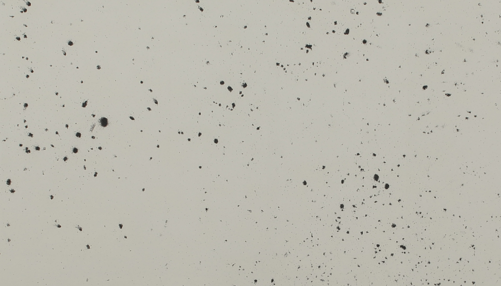 Polvo, 2015 - 2018 : Francisco Ugarte