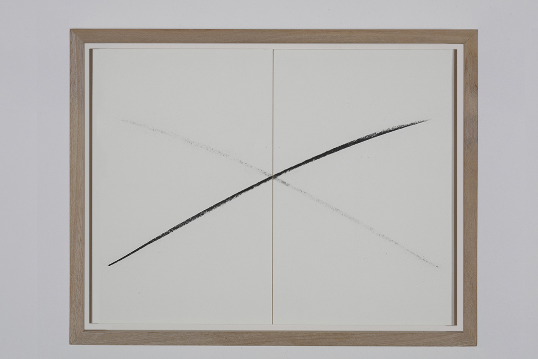 Live reflections, 2019 : Francisco Ugarte