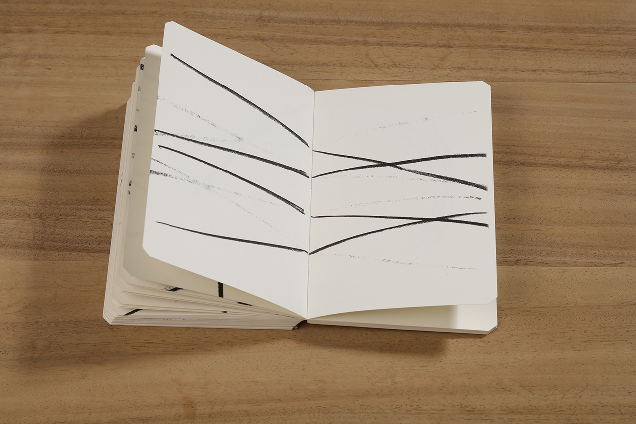 Reflection, 2018 : Francisco Ugarte