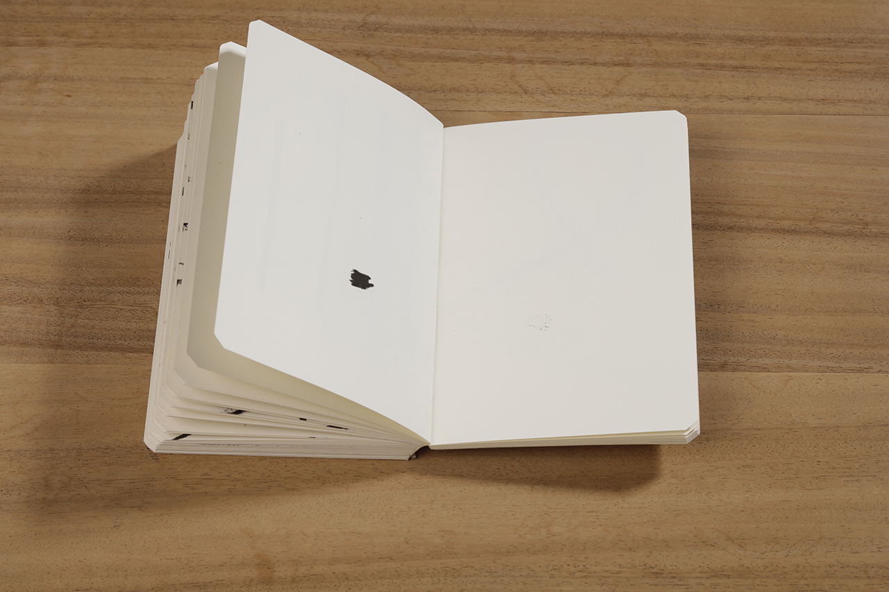 Reflection, 2018 : Francisco Ugarte