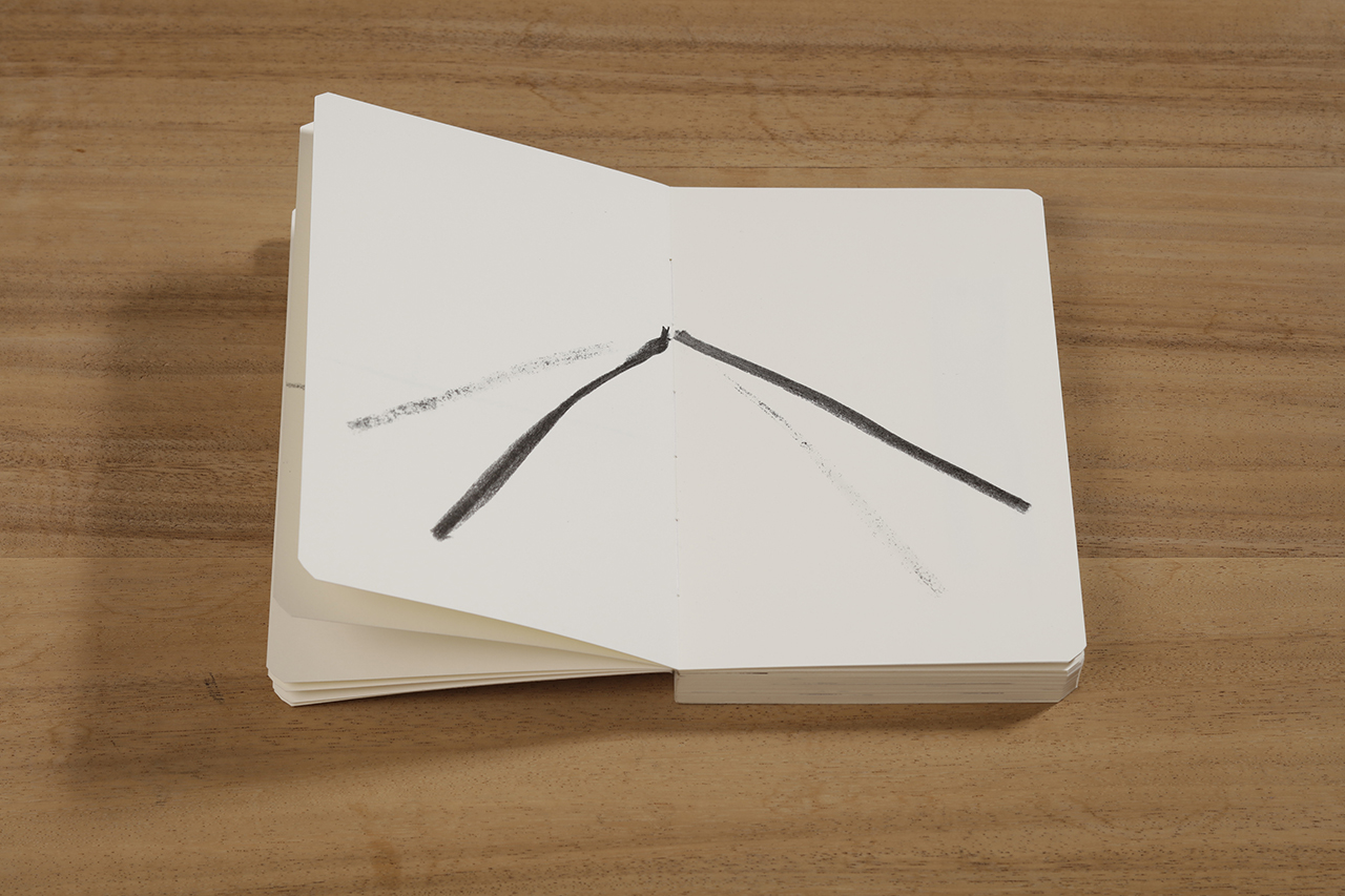 Reflection, 2018 : Francisco Ugarte