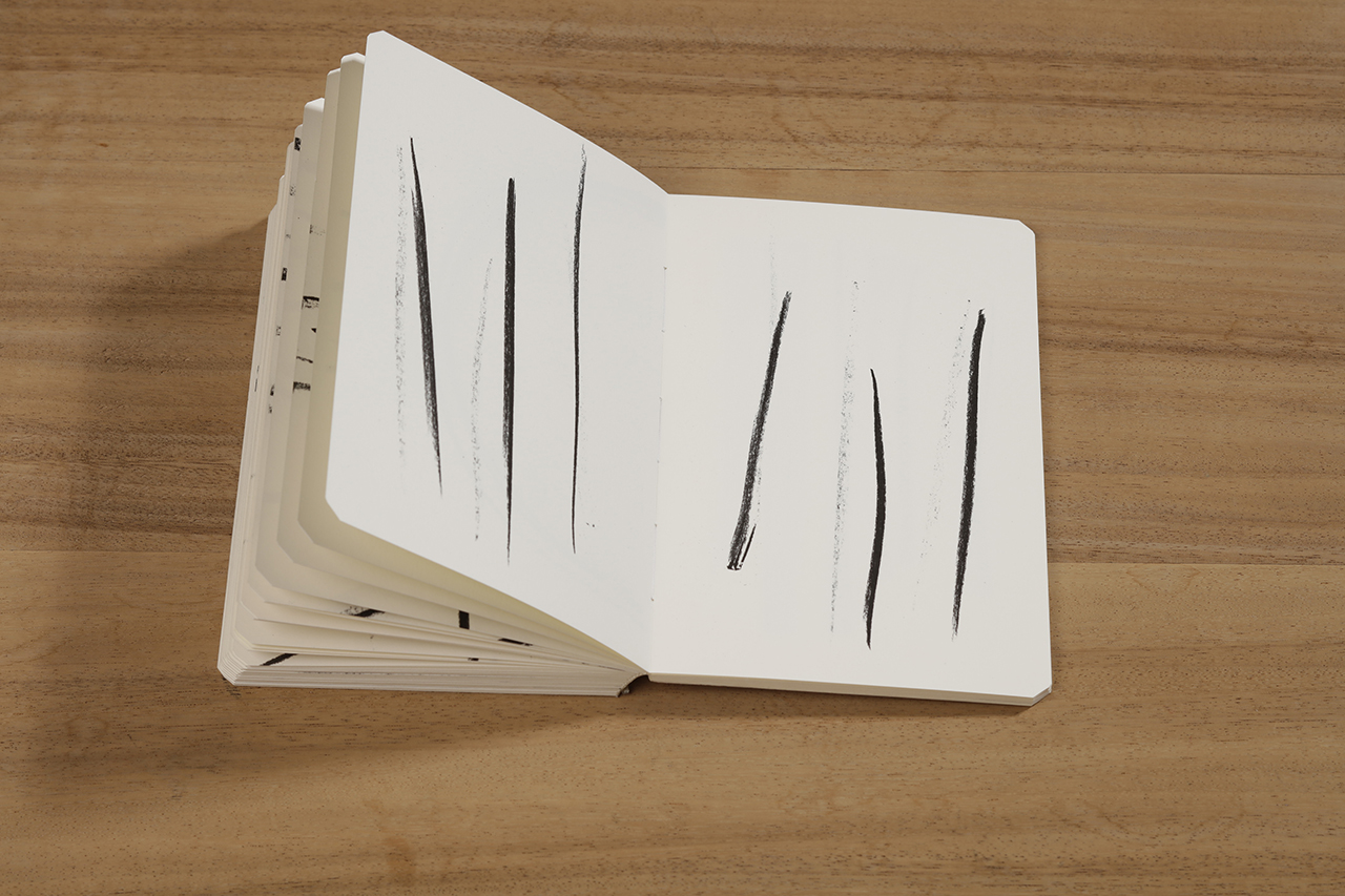 Reflection, 2018 : Francisco Ugarte