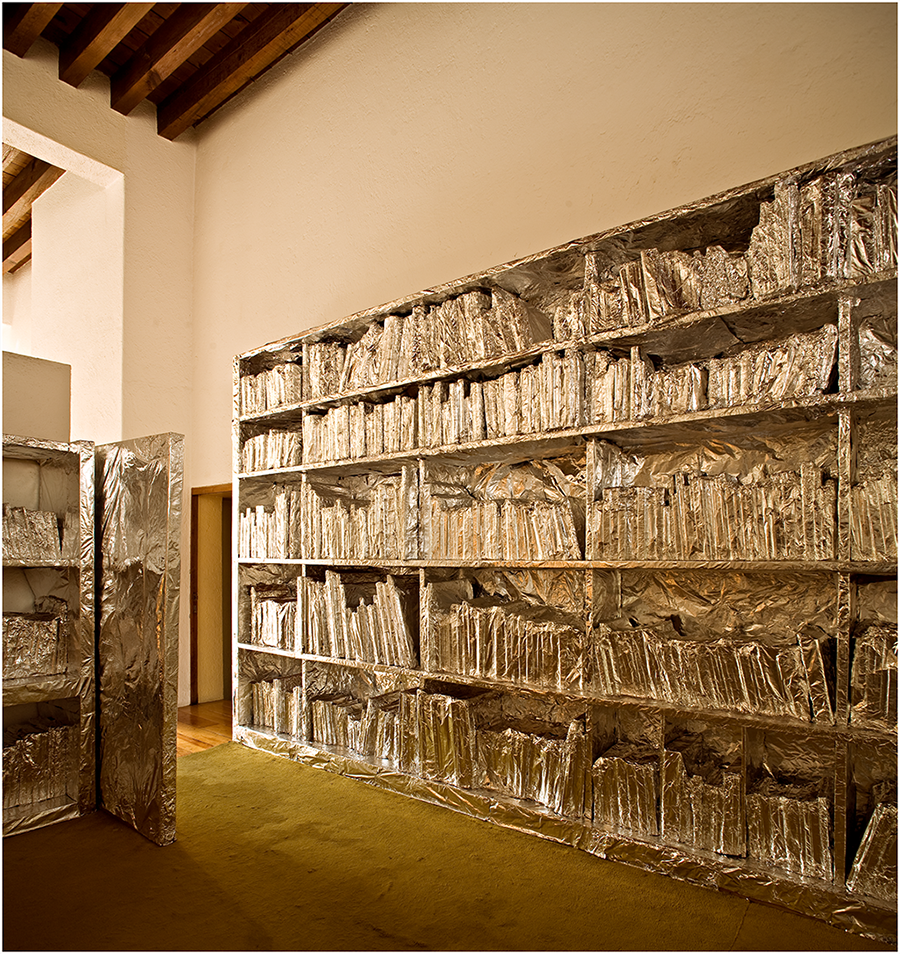 Intervención a la Casa Barragán, fotografías, 2010 : Francisco Ugarte