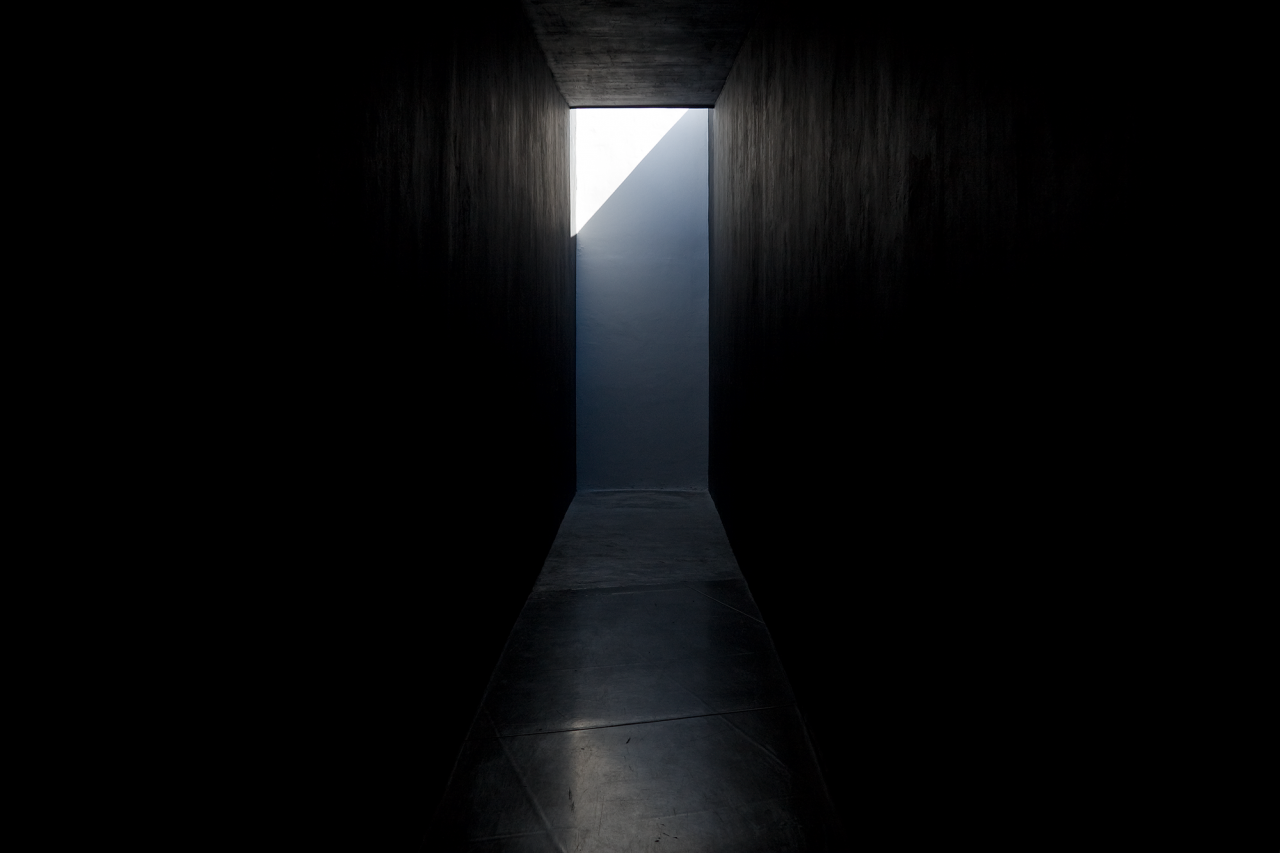 Sin título (MAZ), díptico, 2013 : Francisco Ugarte