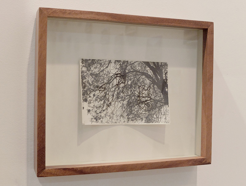 Fotografía, 2014 : Francisco Ugarte