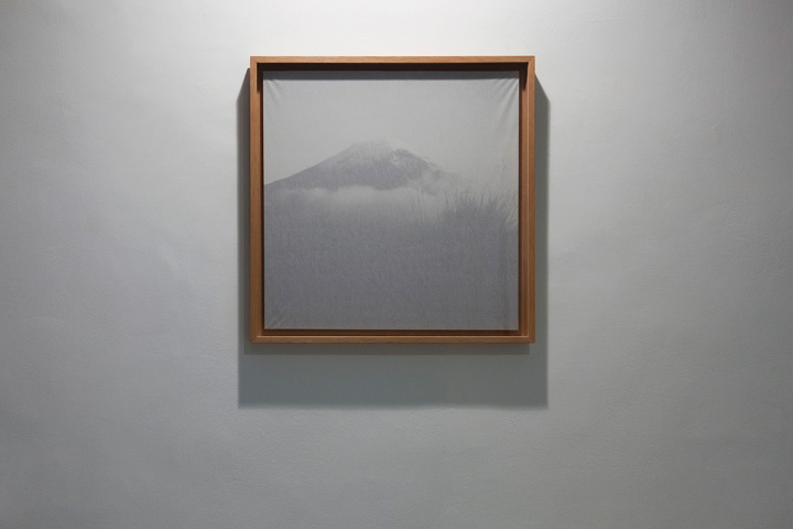 Sin título (Ampliaciones) 1, 2012 : Francisco Ugarte