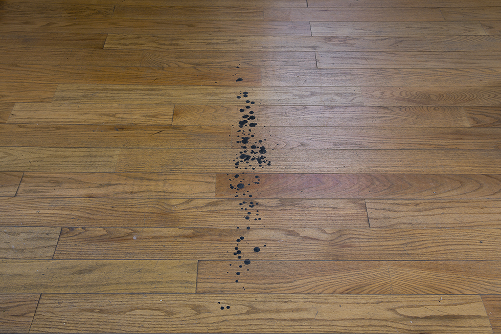 Sin título (Pintura, techo y piso), 2015 : Francisco Ugarte