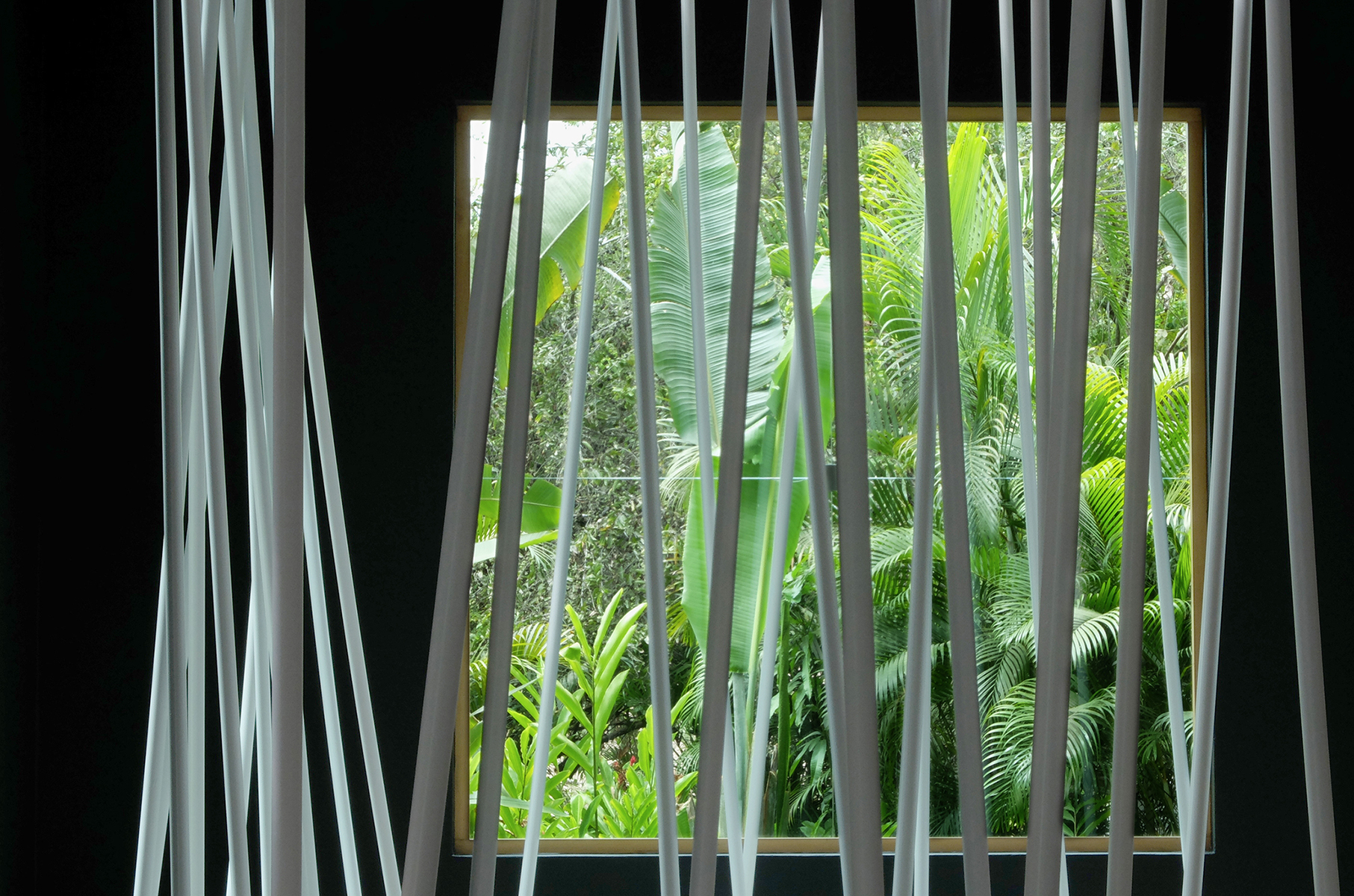 Sin título (Pintura negra y tubos blancos), 2014 : Francisco Ugarte