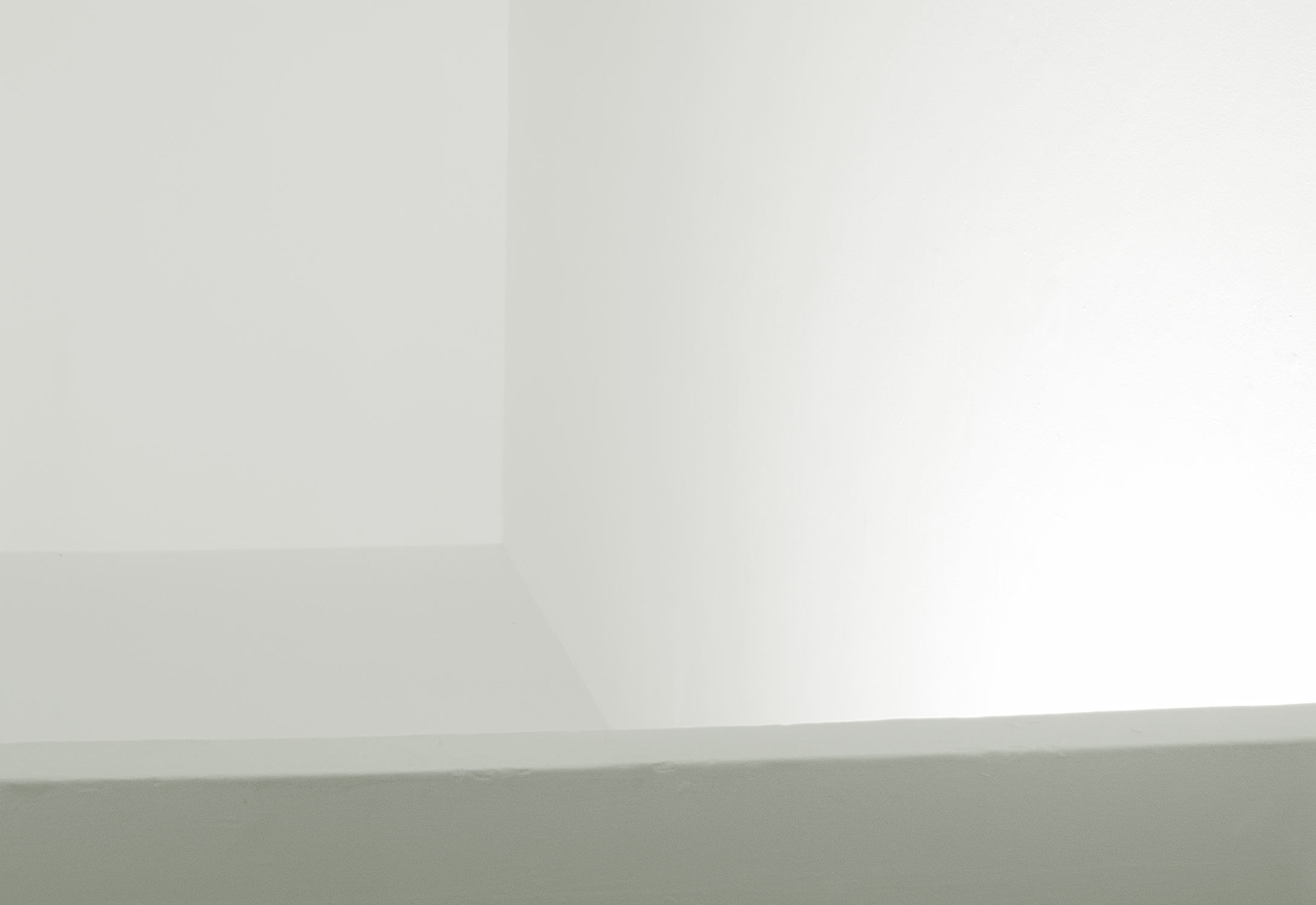 Traslúcido, 2007 : Francisco Ugarte