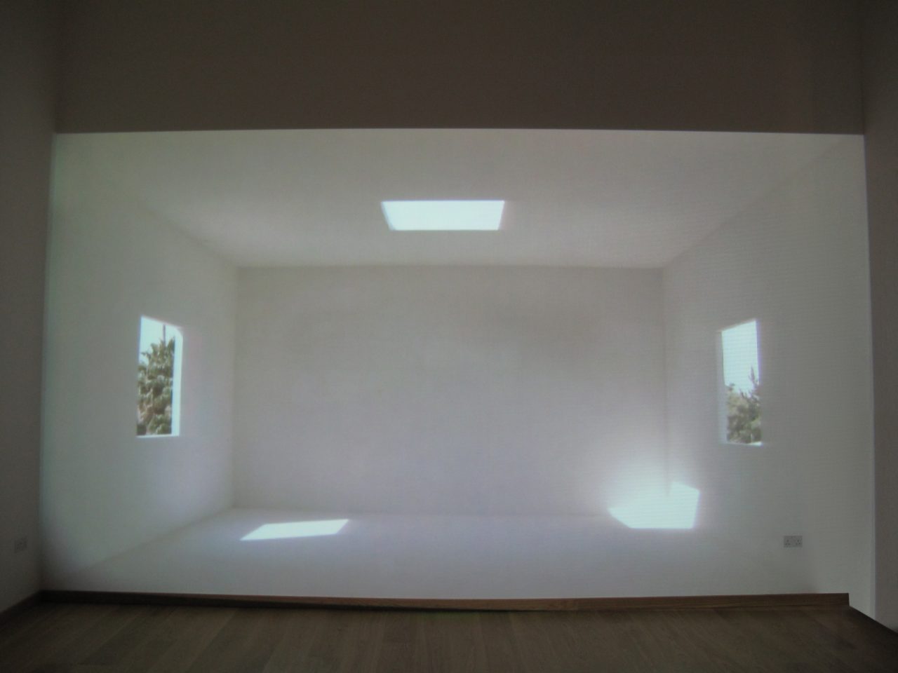 8 de Enero, 2009 : Francisco Ugarte