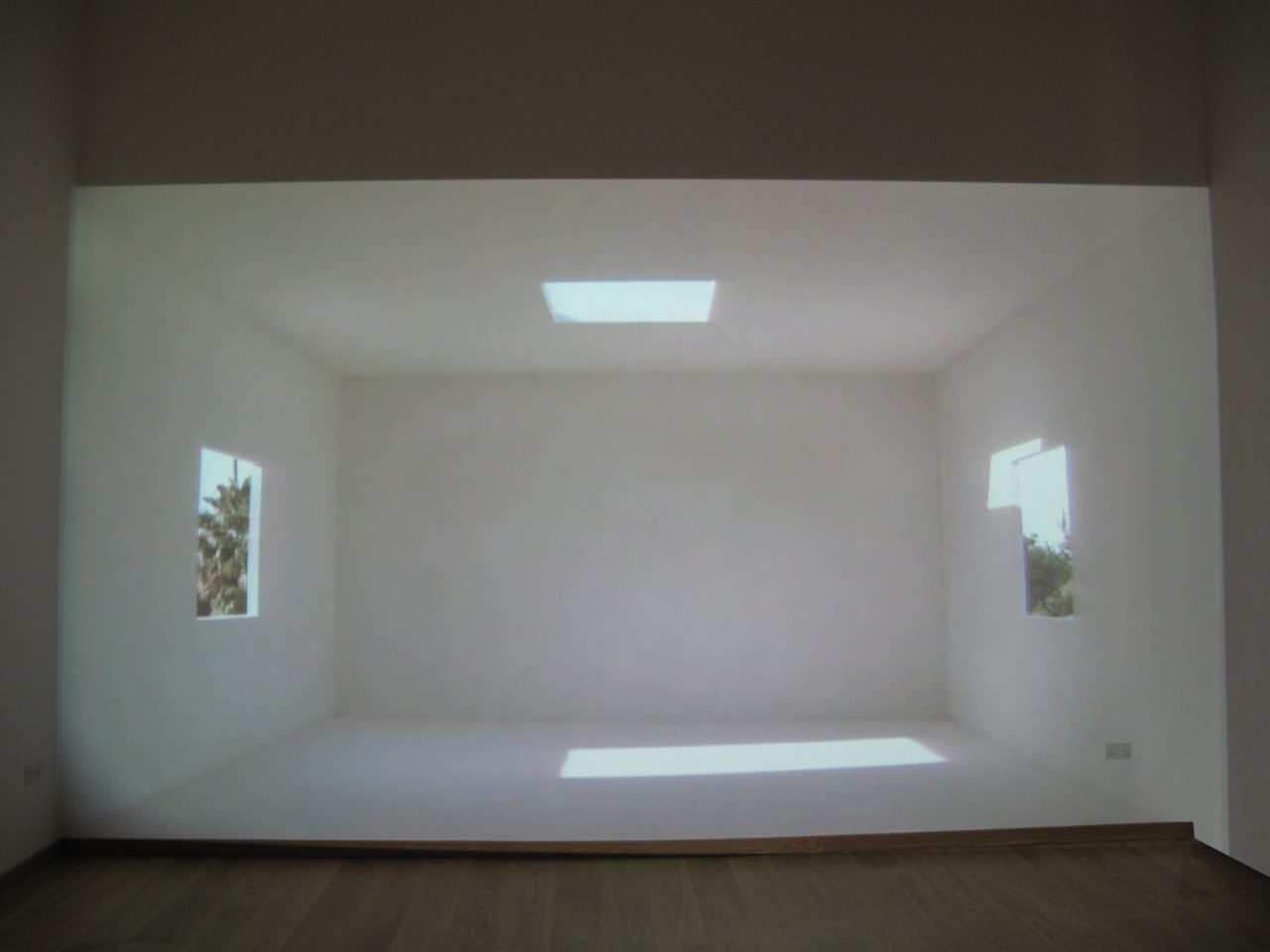 8 de Enero, 2009 : Francisco Ugarte