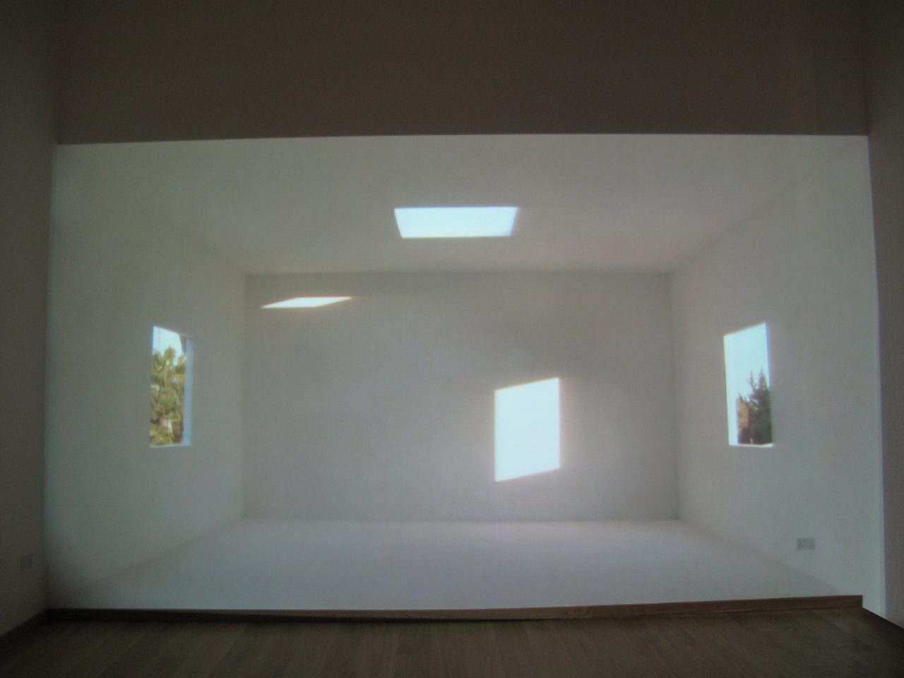 8 de Enero, 2009 : Francisco Ugarte