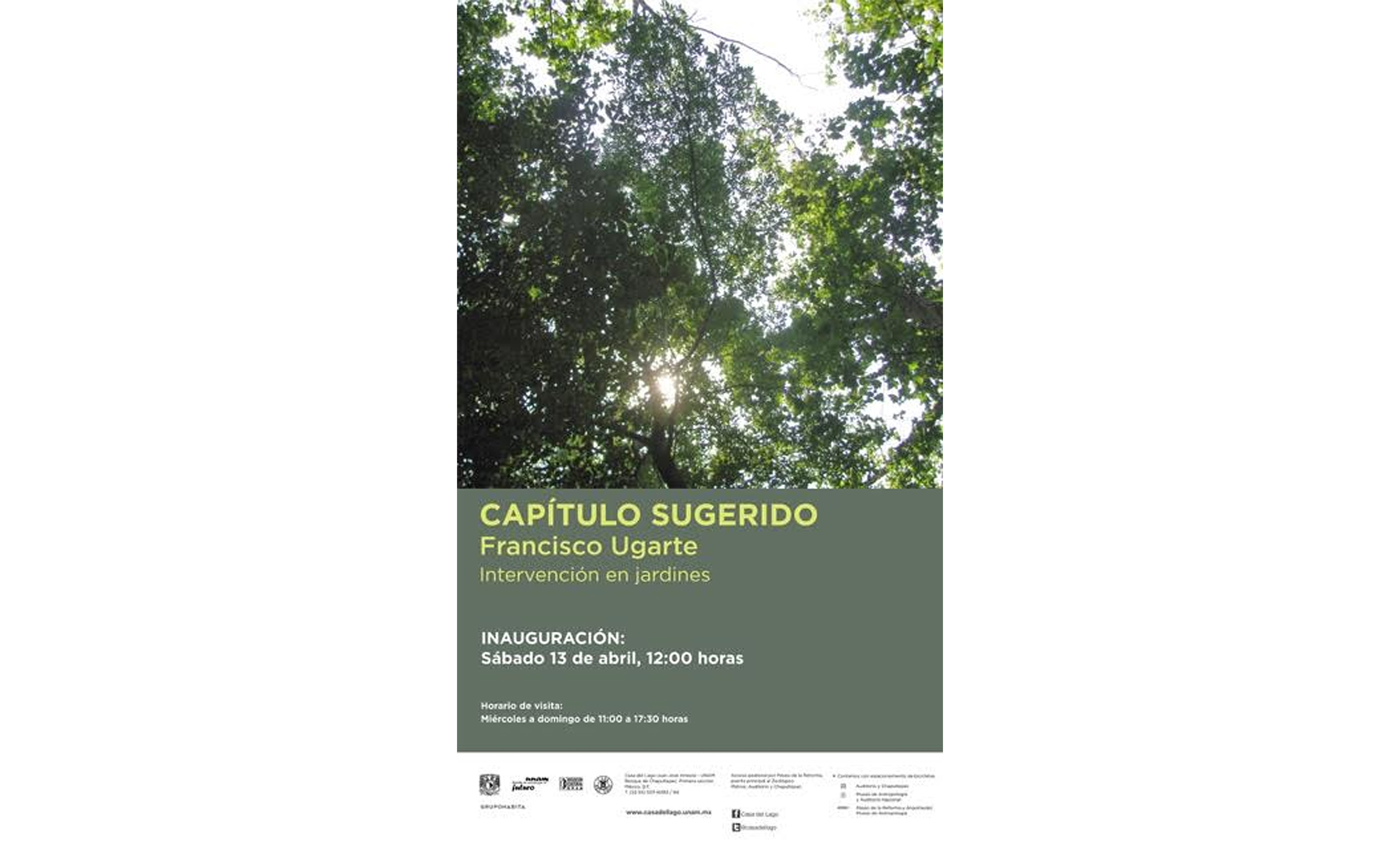 Texto para la exposición CAPÍTULO SUGERIDO : Francisco Ugarte